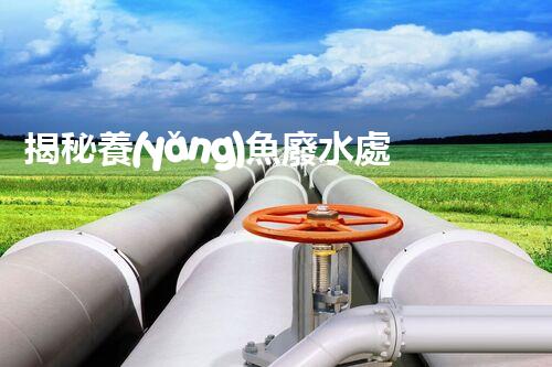 揭秘養(yǎng)魚廢水處理的革命性技術(shù)？